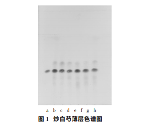 1576634010885994.png 222.png