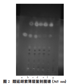 1576634051956339.png 222.png