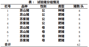 1577238229587061.png 222.png